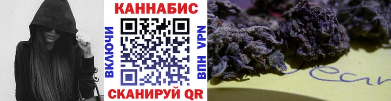 Бошки марихуана VHQ  где можно купить наркотик  MEGA онион  Ессентуки 